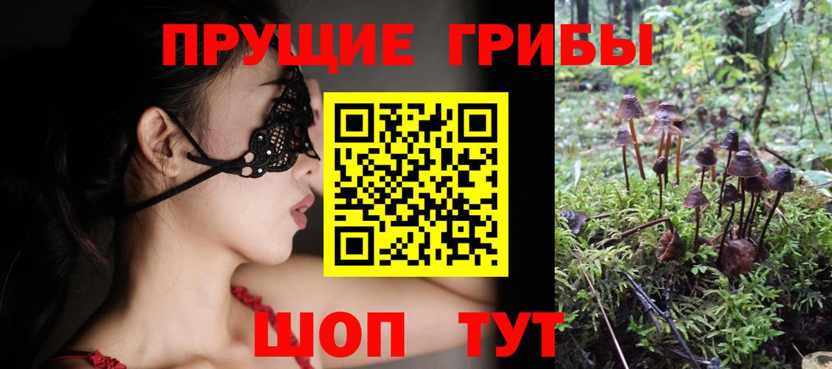 Галлюциногенные грибы MAGIC MUSHROOMS Можга
