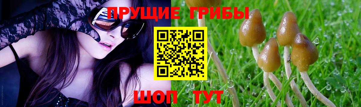 Можга  Галлюциногенные грибы Magic Shrooms  Вход с VPN  купить наркотик  Галлюциногенные грибы мицелий 